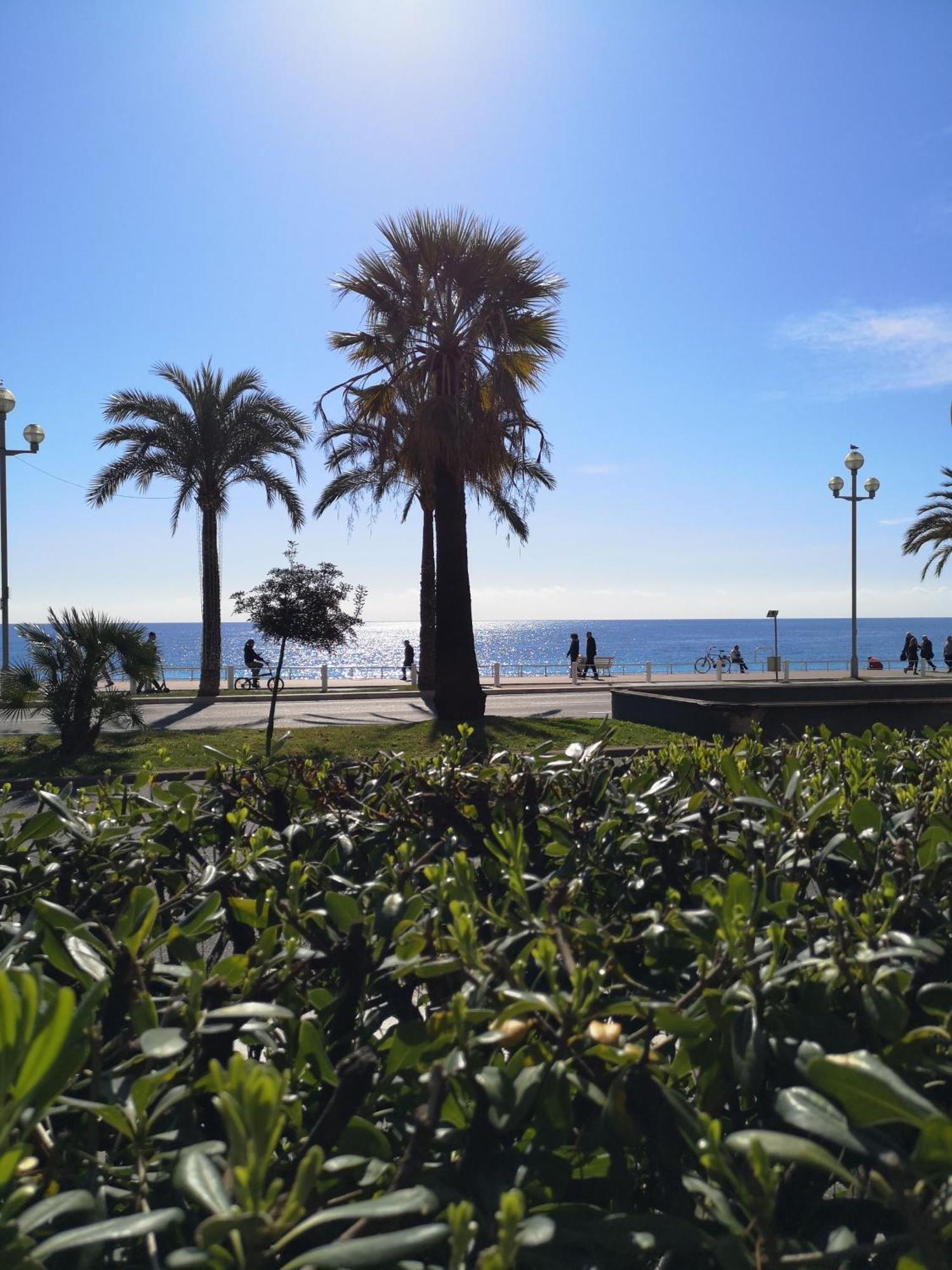 Garden Atlantide Promenade Appartamento