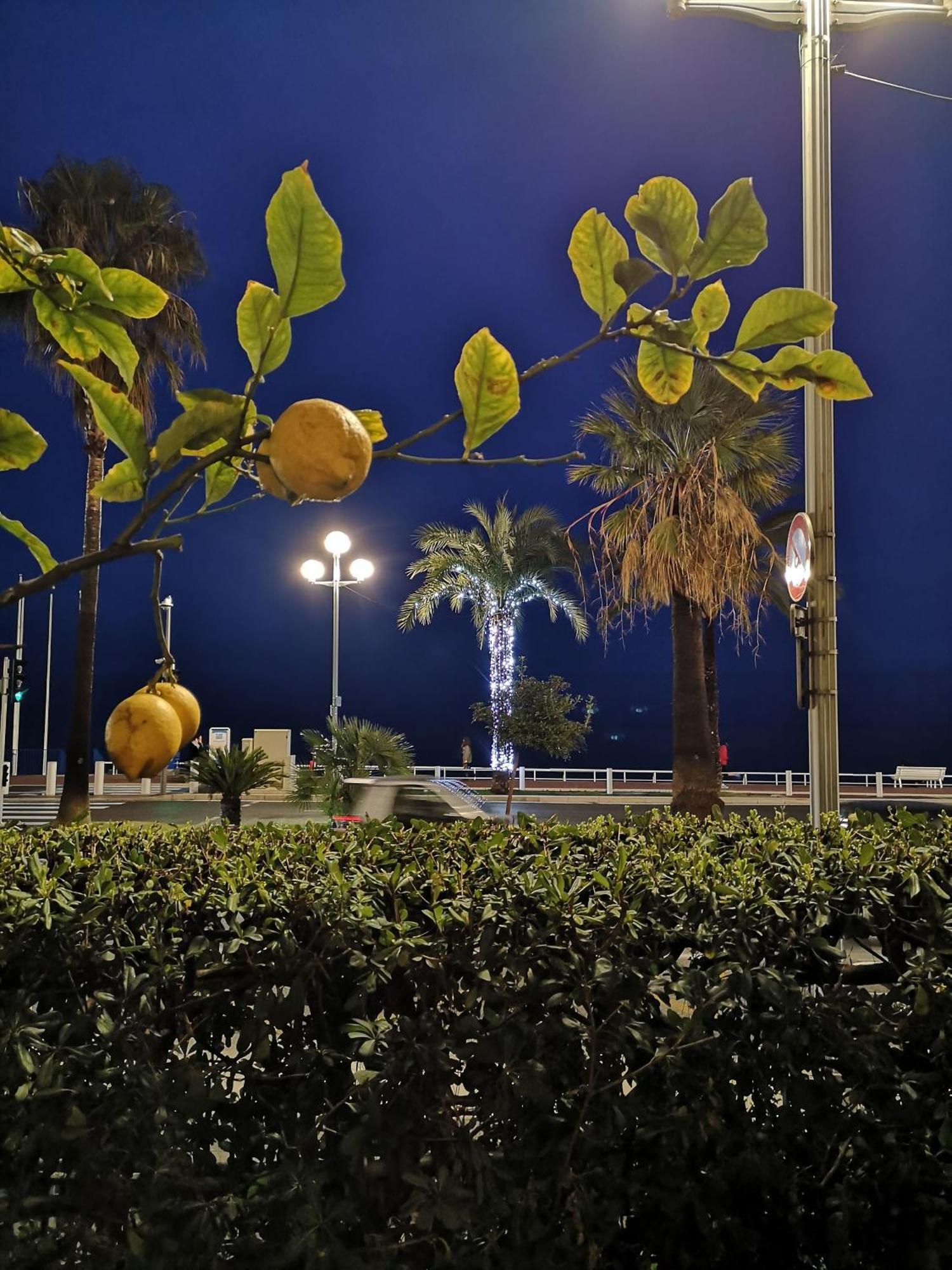 Appartamento Garden Atlantide Promenade